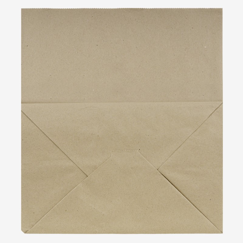 Kraft handle paper bags