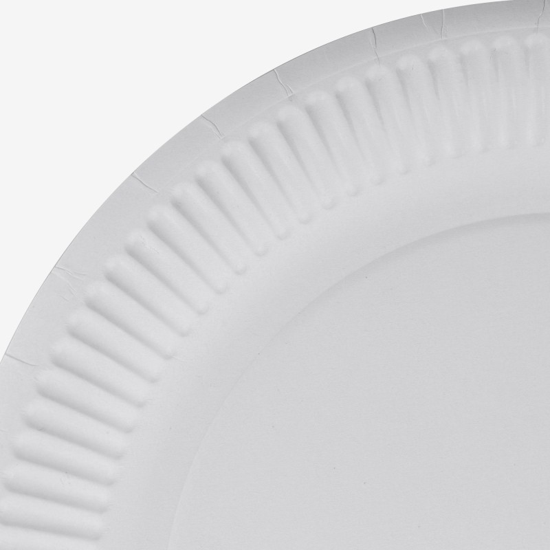 White round cardboard plates