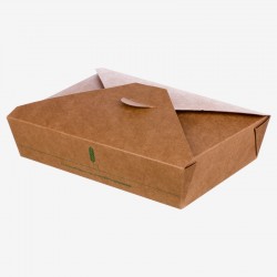 Kraft carton box m2 200 pcs