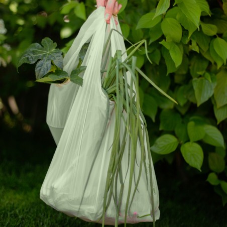 Sacose Biodeck verzi medii 50 buc - 2