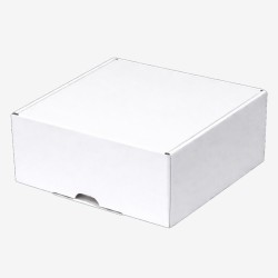 Cutii carton albe 23x23x11 cm 50 buc - 2