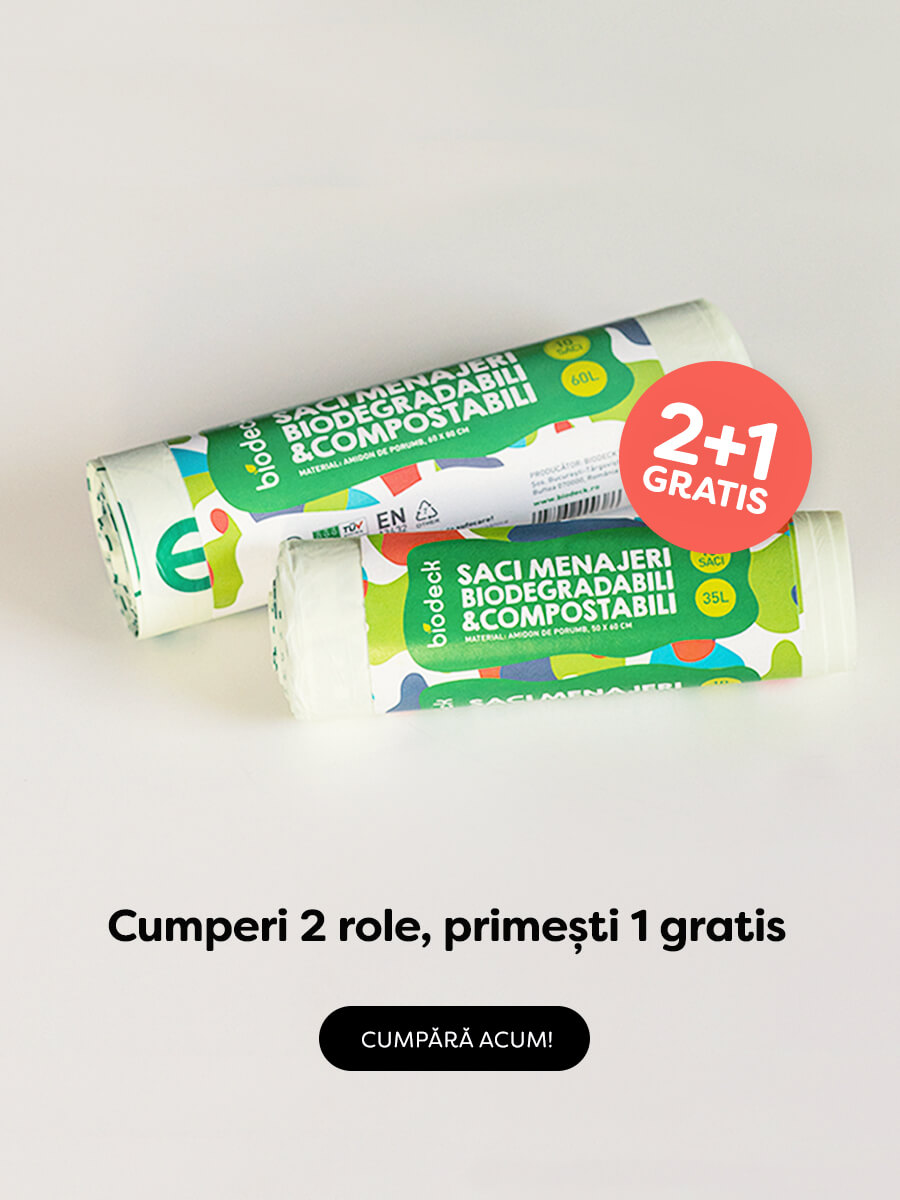 Saci menajeri 2+1